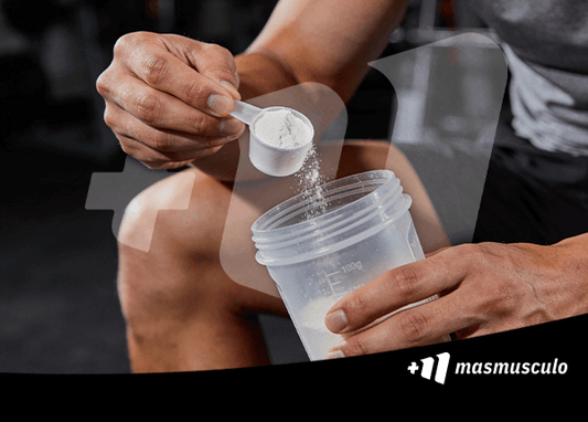 6 Mejores suplementos para mejorar la resistencia y recuperación. La importancia del Omega-3 y la inflamación