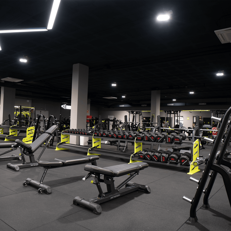 Fitness y estética corporal