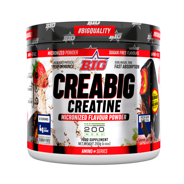 CreaBig Creatina 200 Mesh di Big - BIG 1