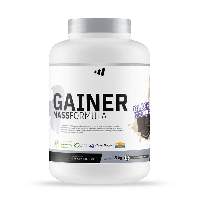 Gainer MASS Formula di Masmusculo Supplements - Masmusculo Supplements 0