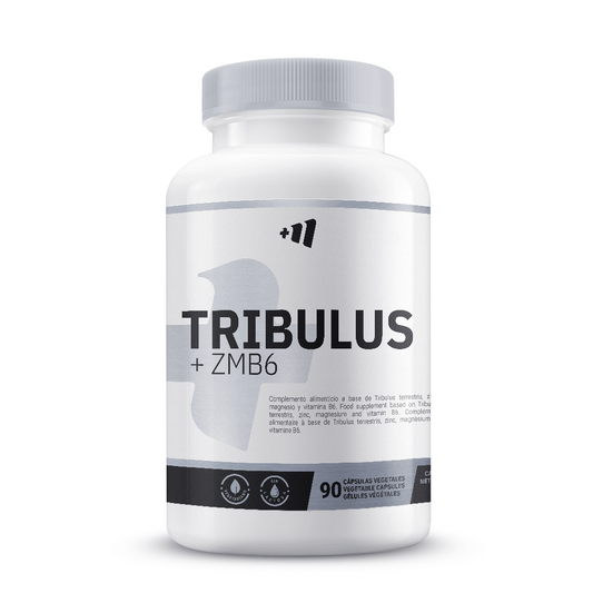 Tribulus + ZMA di Masmusculo Supplements del marchio Masmusculo Supplements nella collezione Integratori Masmusculo
