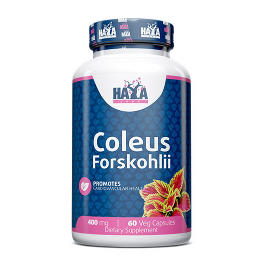 Coleus Forskohlii di Haya Labs del marchio Haya Labs nella collezione Altri Bruciatori