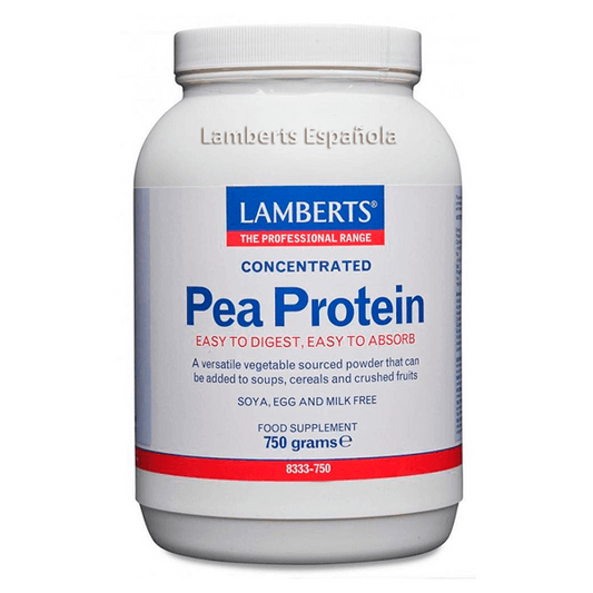 Proteina di Pisello di Lamberts del marchio Lamberts nella collezione Lamberts