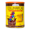 Collmar-Cao envase de 300g de la marca Drasanvi (Colágeno)