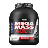 Mega Mass 4000 di Weider