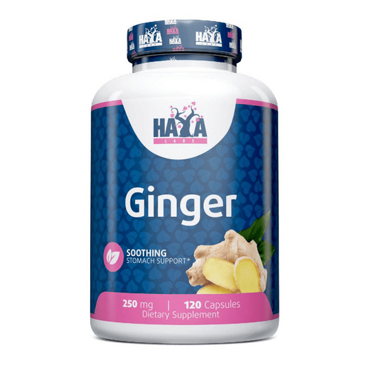 Zenzero 250mg di Haya Labs del marchio Haya Labs nella collezione Digestivi