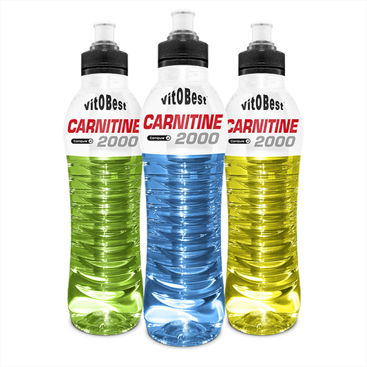 Carnitina 2000 di Vitobest del marchio VitOBest nella collezione VitoBest