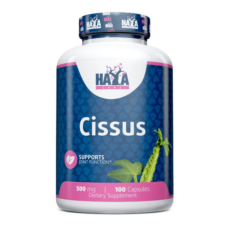 Cissus 500mg di Haya Labs - Haya Labs 0