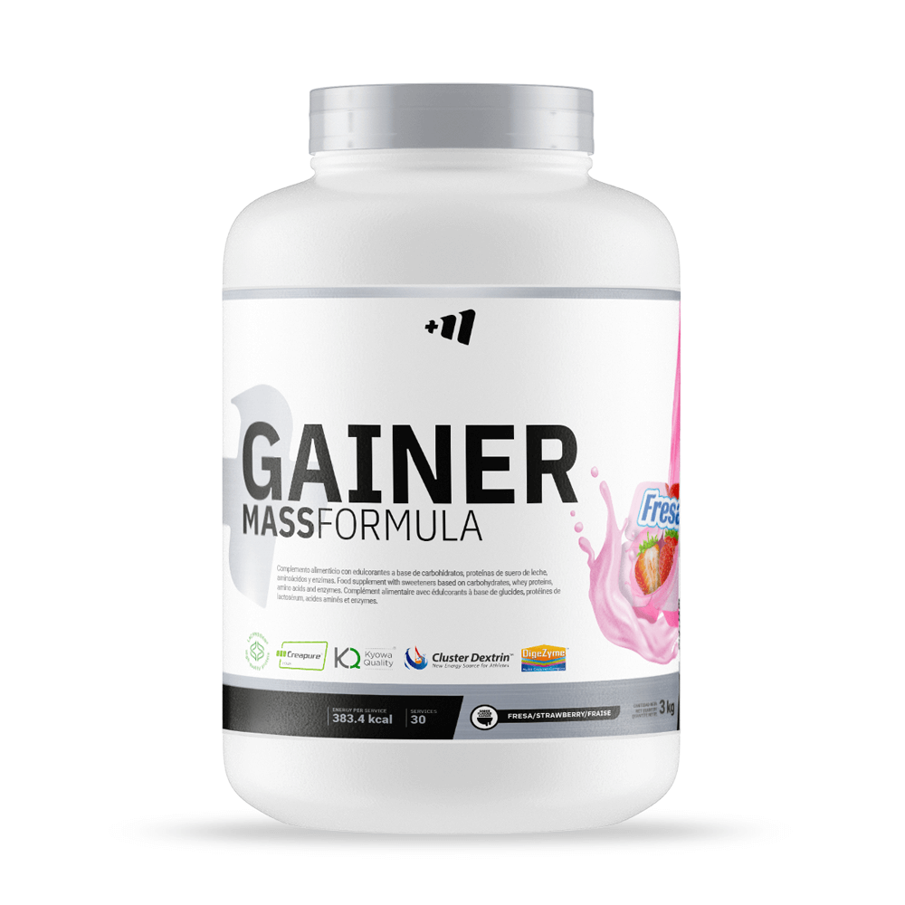 Gainer MASS Formula envase de 3 kg - ganadores de peso con proteína por MM Supplements
