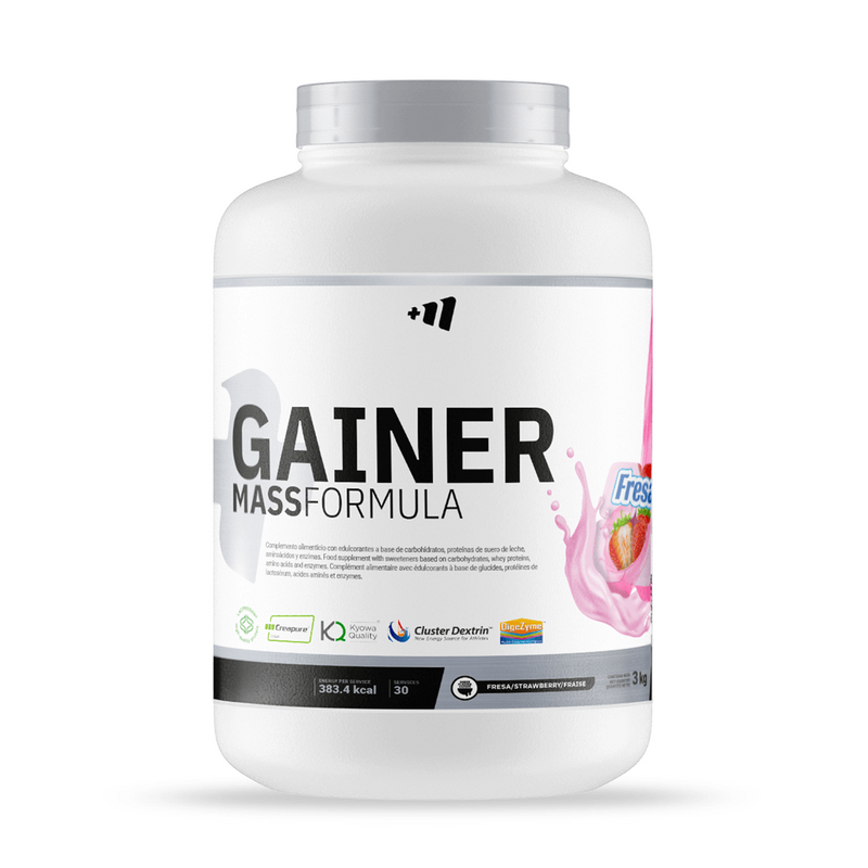 Gainer MASS Formula di Masmusculo Supplements - Masmusculo Supplements 3