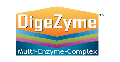 Digezyme